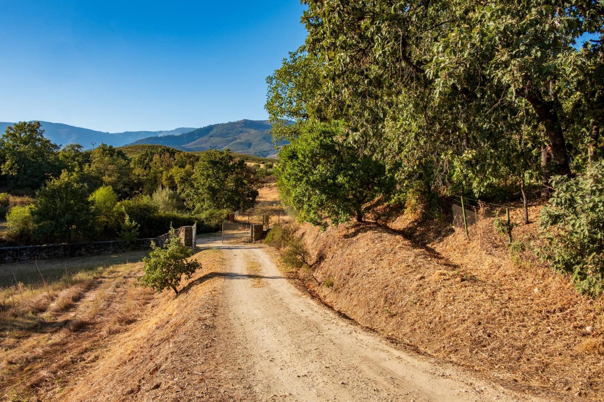 Amaltea ξενώνας Candeleda Εξωτερικό φωτογραφία